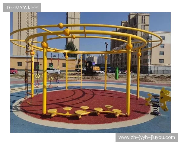 市面上最贵名牌综合健身器材的体育价值分析